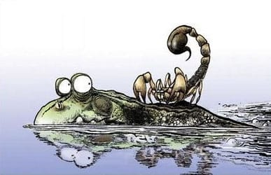 Illustrazione di uno scorpione sulla schiena di una rana che nuota.
